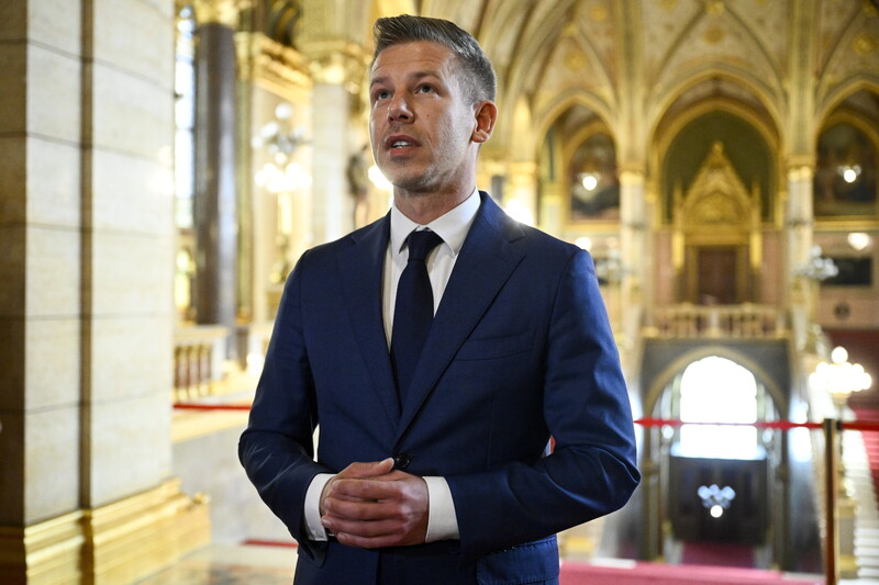 Egy gyerekeket érzékenyíteni akaró LMBTQ-aktivista, Kóka János államtitkára, Kovács László munkatársa - tele lehet baloldali államtitkárokkal a Tisza-kormány