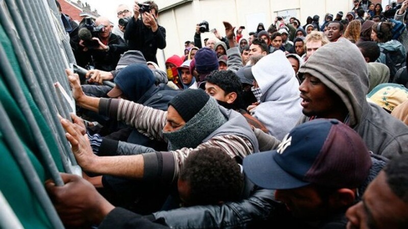 A migránslobbi ismert figurája lett Magyar Péter EP-képviselőjének új asszisztense